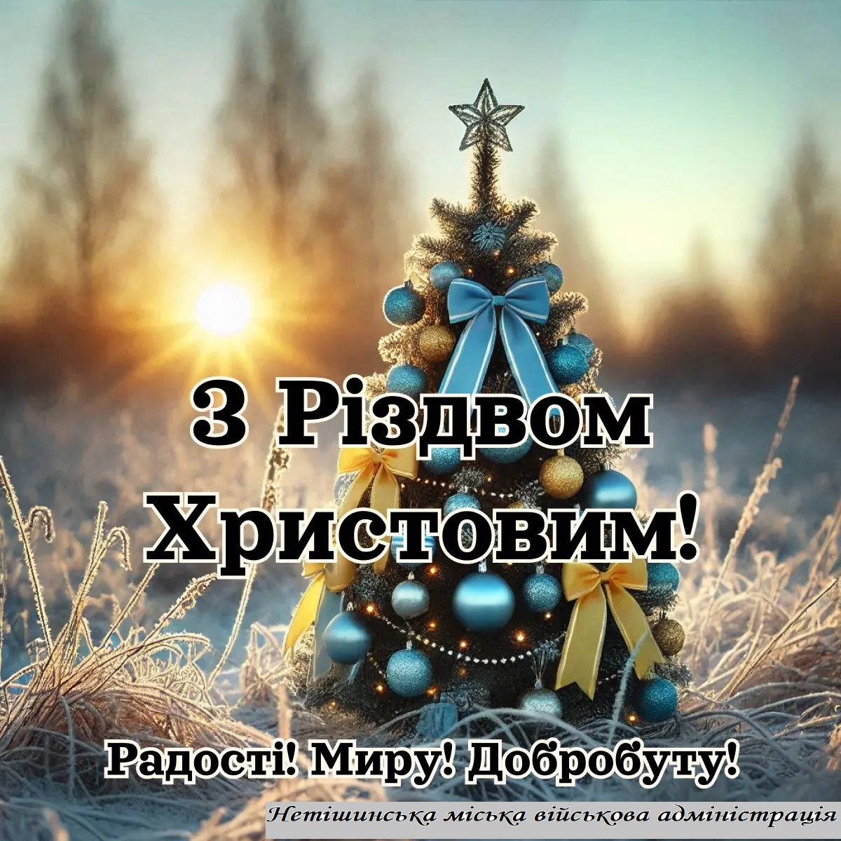 Детальніше про статтю З Різдвом Христовим